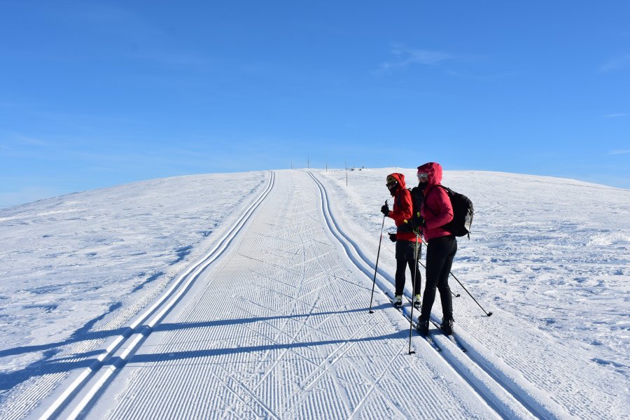 Skilanglauf Norwegen - Nordseter