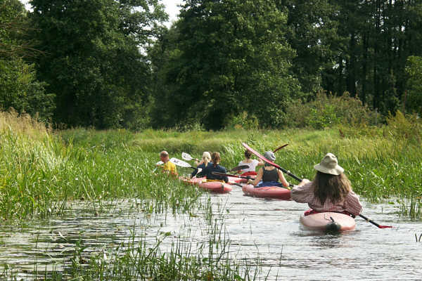 Spreewald