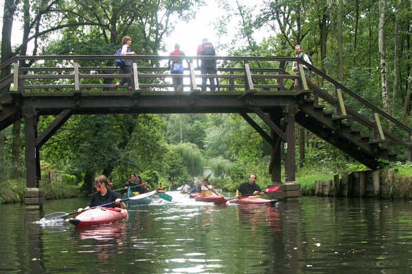 Spreewald