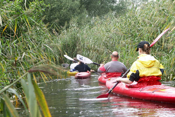 Spreewald