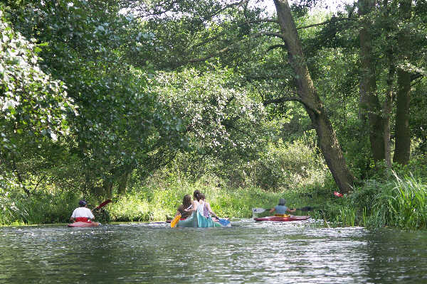 Spreewald