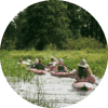 Spreewald