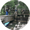 Spreewald
