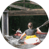 Spreewald