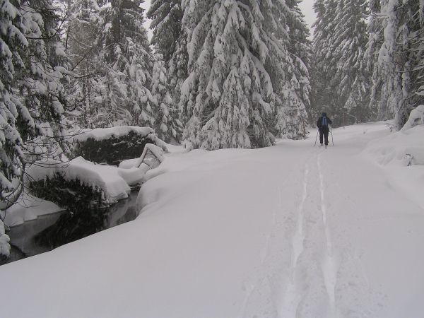 verschneite Loipe