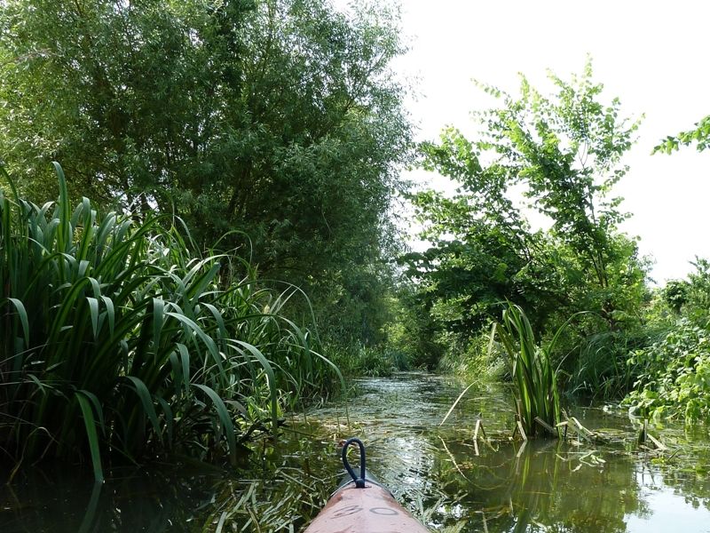 Spreewald - Kramske