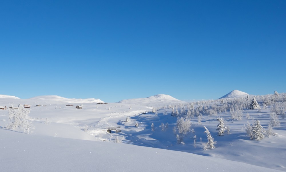 Skilanglauf Norwegen - Venabu