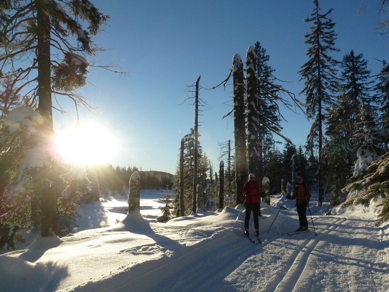 Skilanglauf Harz - Oderteich