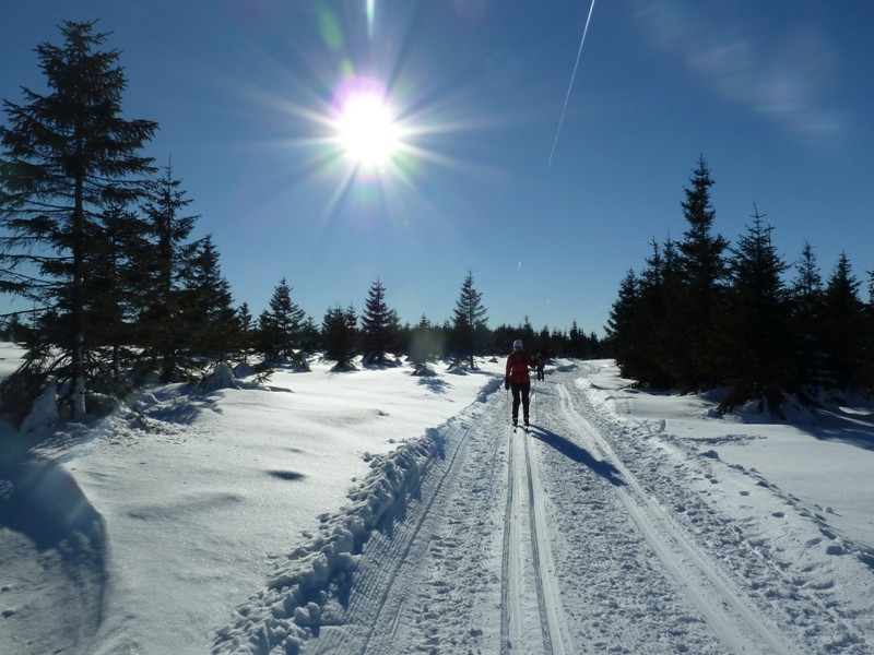 Skilanglauf Harz