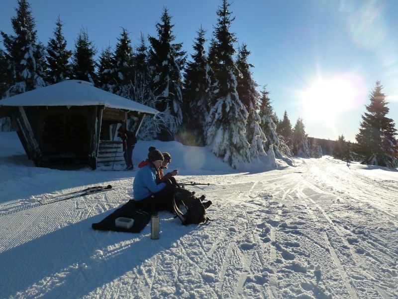Skilanglauf Harz - Wolfswarte