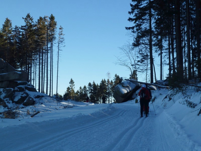 Skilanglauf Harz - Renneckenbergloipe