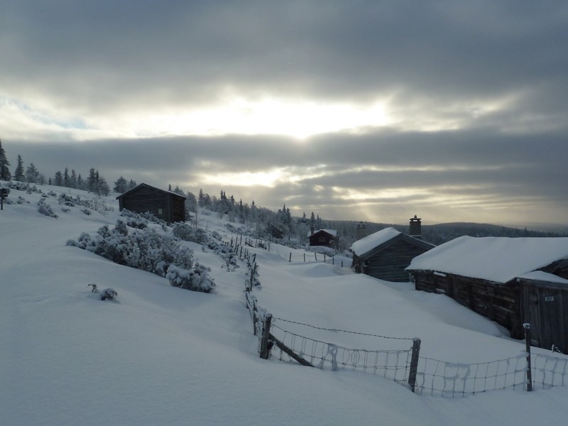 Skilanglauf Norwegen - Venabu
