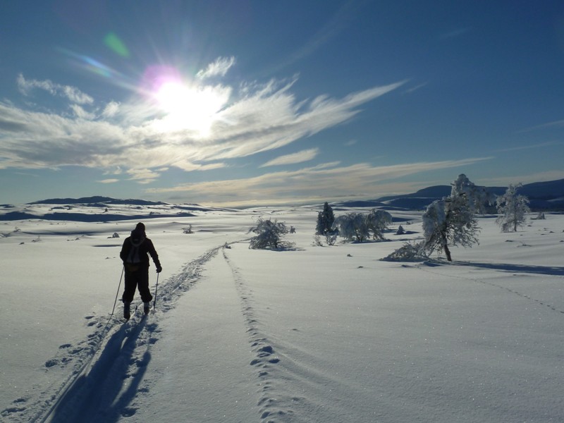 Skilanglauf Norwegen - Venabu