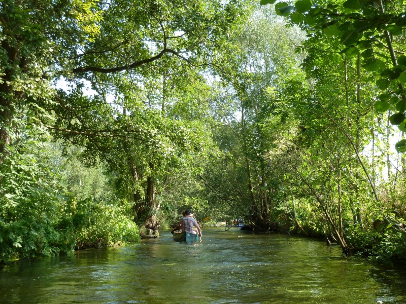 Aller / Wienhäuser Mühlenkanal