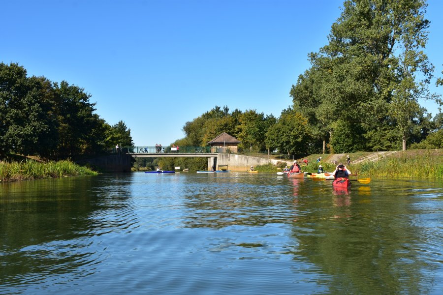 Aller / Wienhäuser Mühlengraben