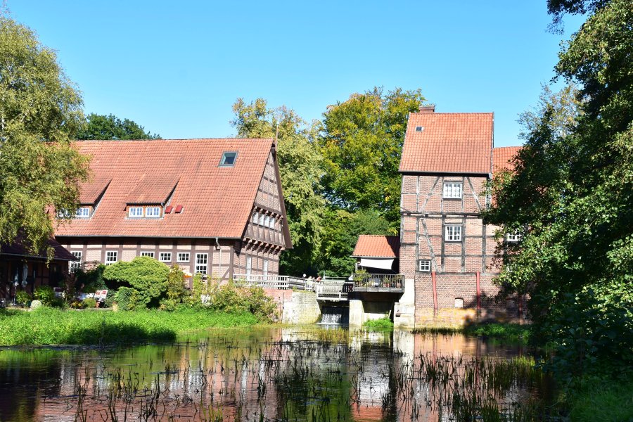 Aller / Wienhäuser Mühlengraben
