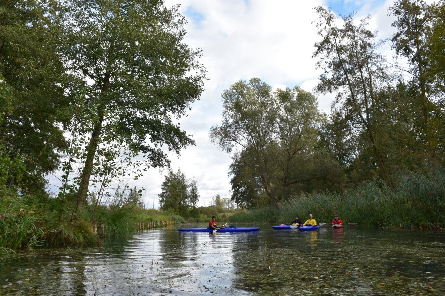 Spreewald