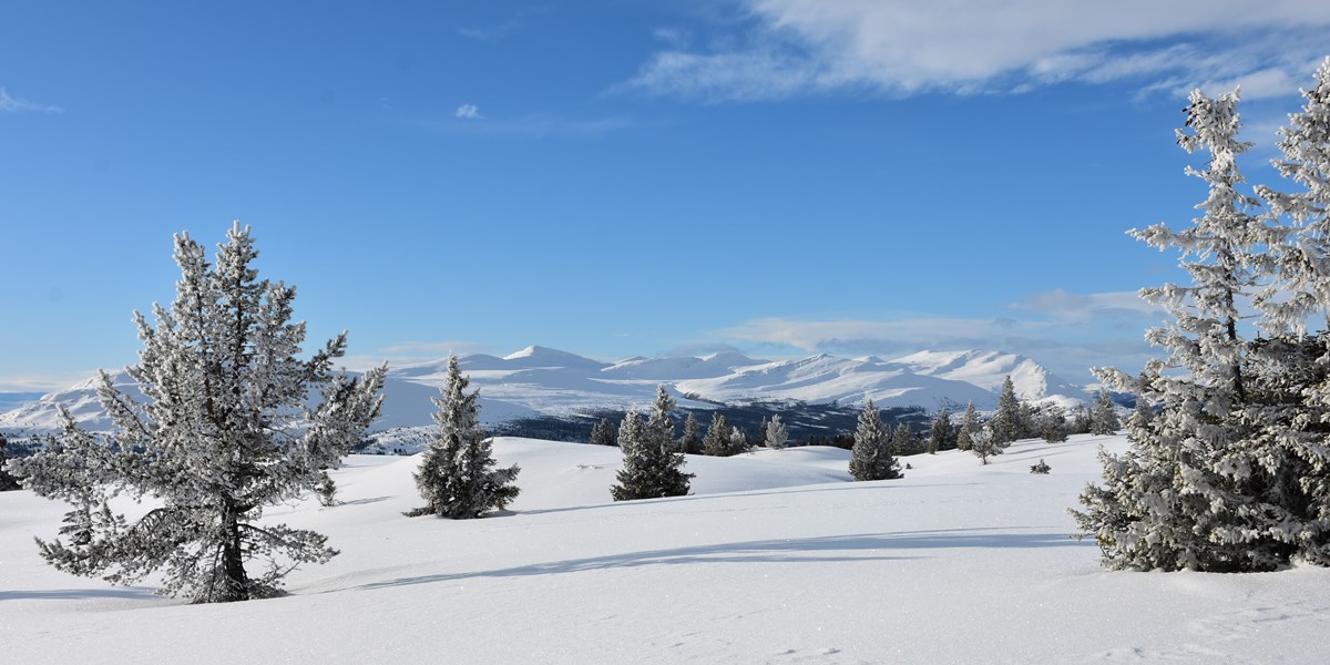 Skilanglauf Norwegen - Venabu