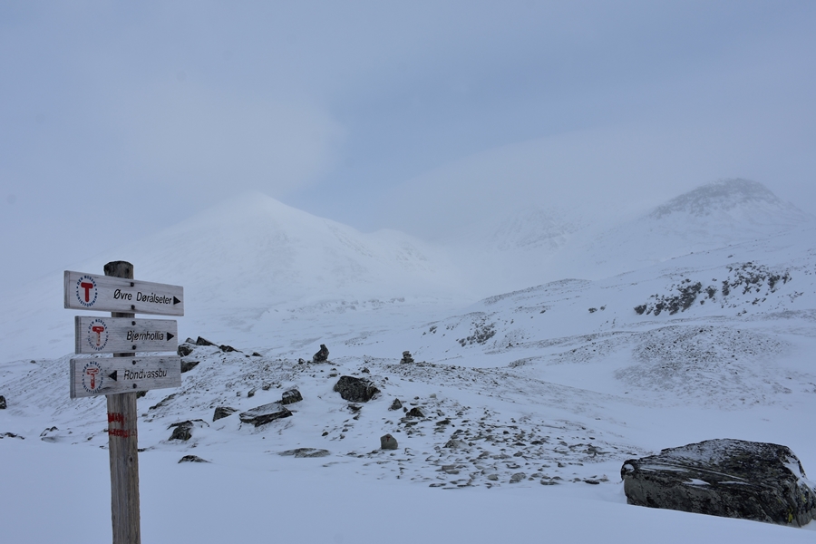 Skilanglauf Norwegen - Venabu