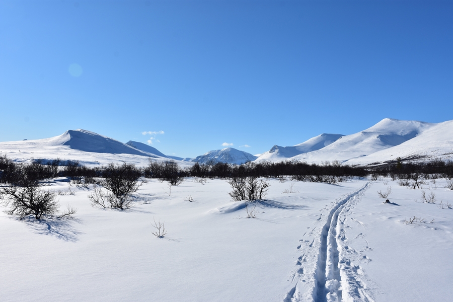 Skilanglauf Norwegen - Venabu