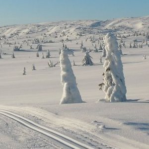 Skilanglauf Norwegen