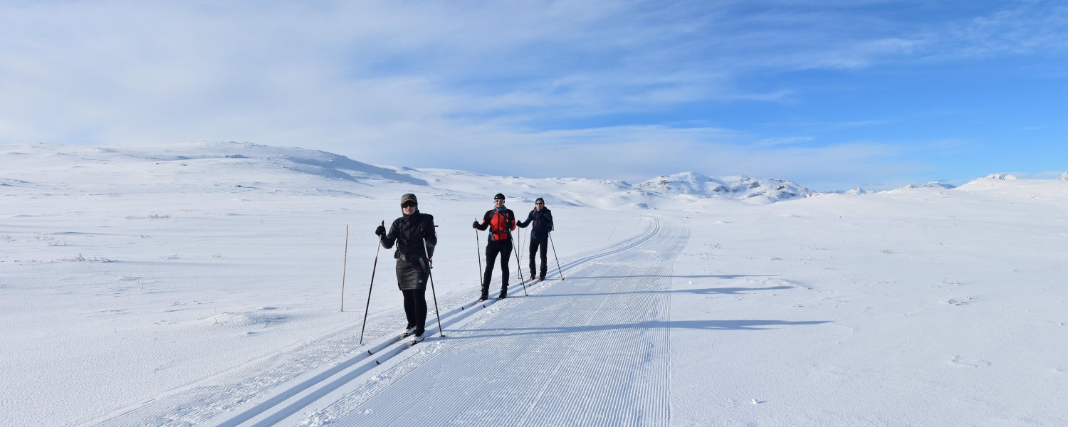 Skilanglauf Norwegen - Beitostølen