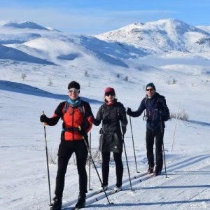 Skilanglauf Norwegen