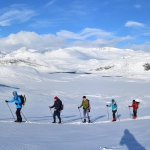 Skilanglauf Norwegen