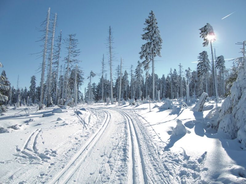 Skilanglauf Harz