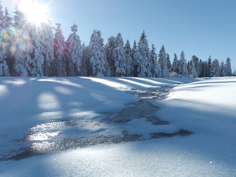 Skilanglauf Harz