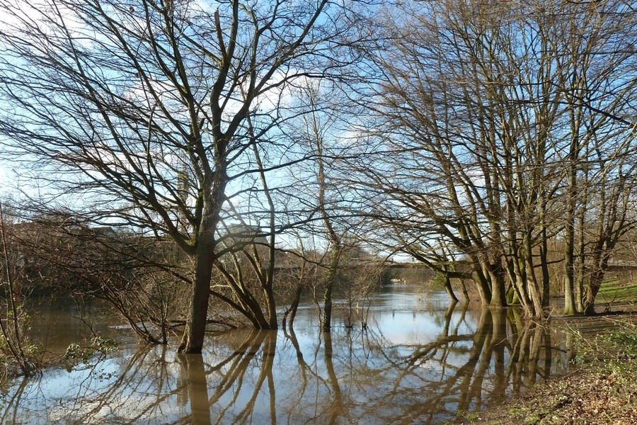 Leine / Ihme / Maschsee