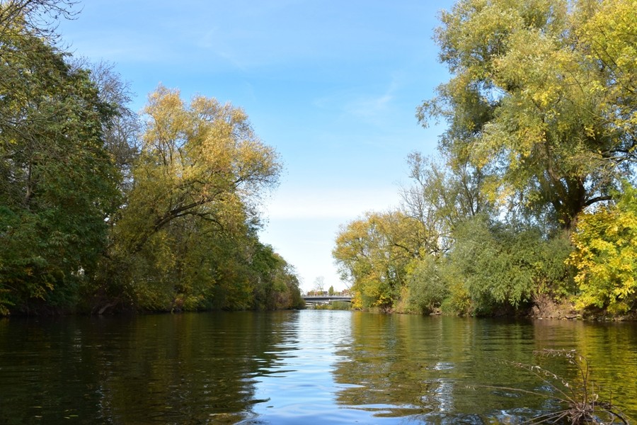 Leine / Ihme / Maschsee