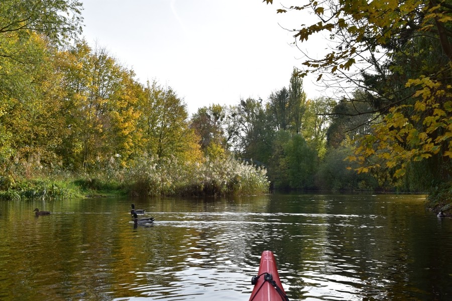 Leine / Ihme / Maschsee