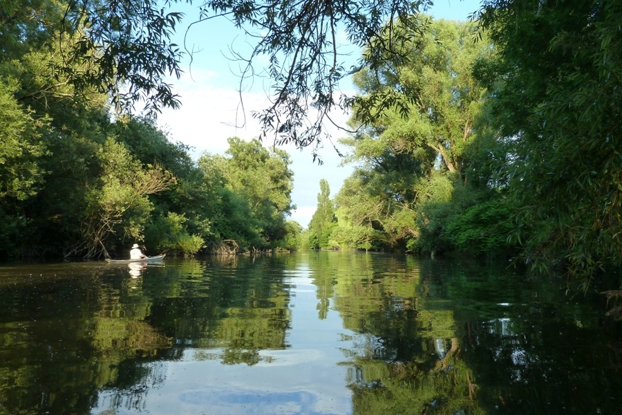Leine / Ihme / Maschsee