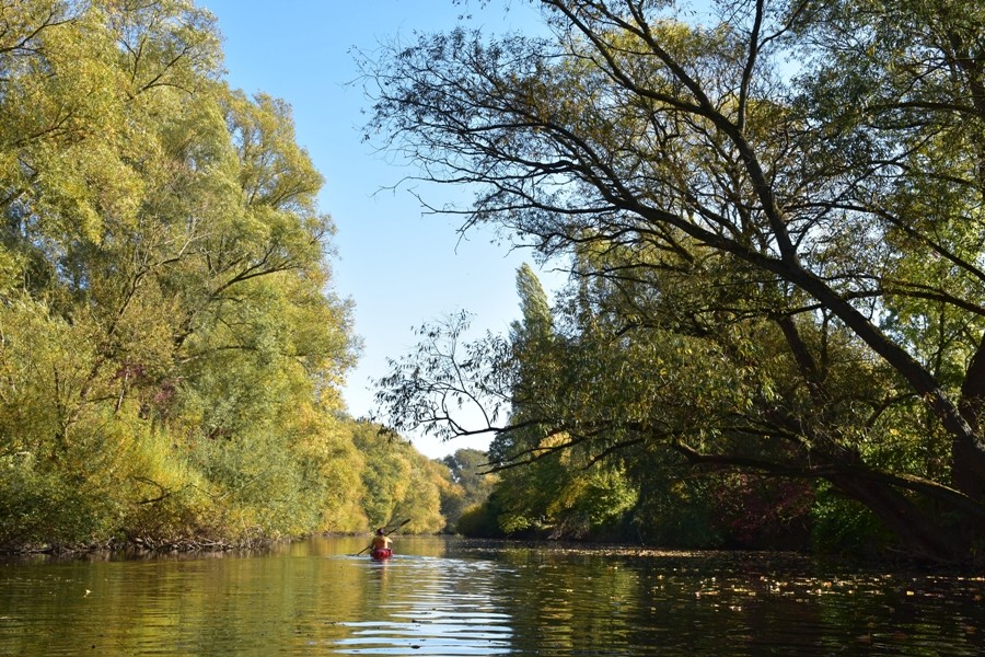 Leine / Ihme / Maschsee