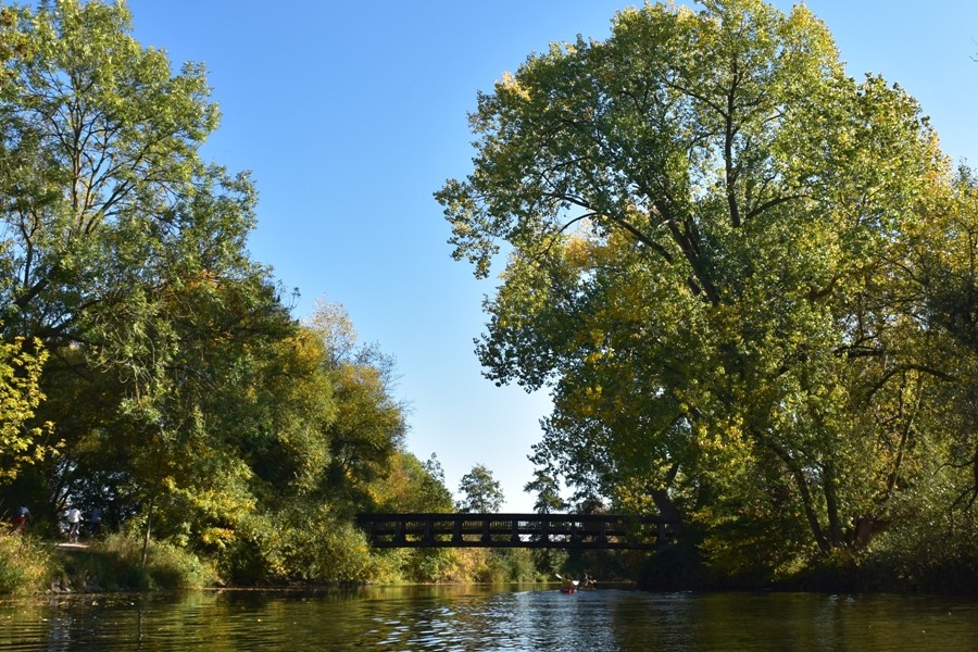 Leine / Ihme / Maschsee
