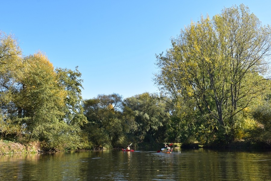 Leine / Ihme / Maschsee