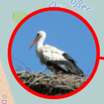 Leine Ihme Maschsee
